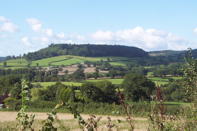 Sidbury Castle