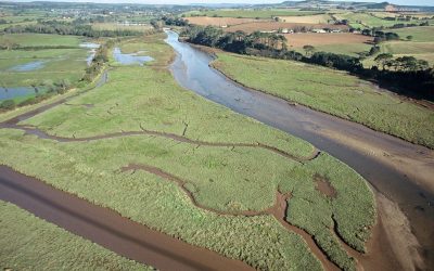Funding boost as Lower Otter Restoration Project proposals revealed