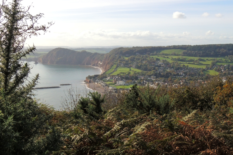 Sidmouth Sid Valley Credit Fran Rees taken Oct 2015 750 x 500px (1)