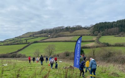 Nature Recovery in Action – Trees, Owls & Kestrels