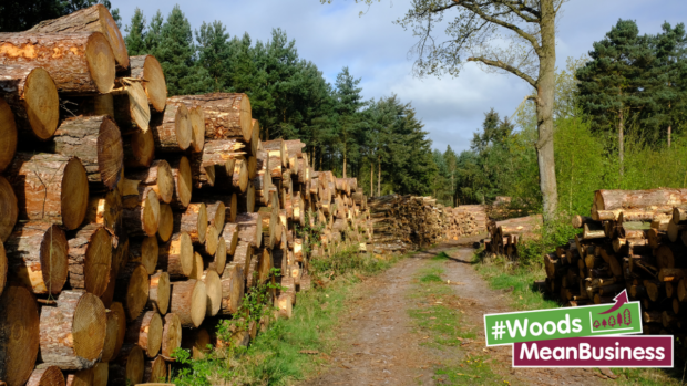 WMB-Forestry Commission images-2-620×349