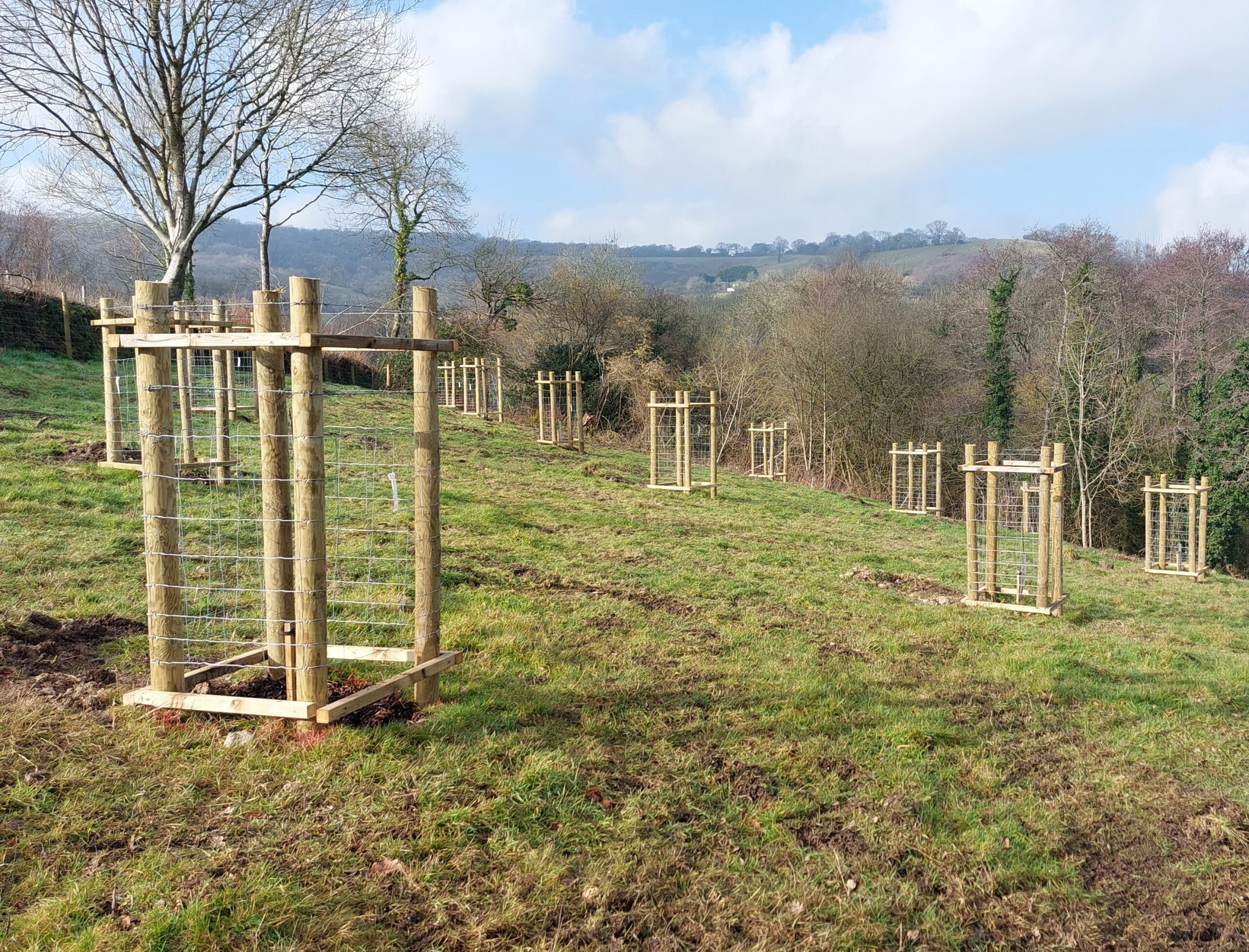 Orchard trees planted at Idehill Farm using FiPL funding. Orchard trees planted at Idehill Farm using FiPL funding.