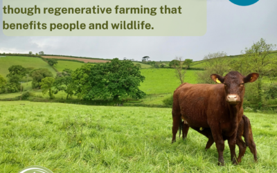 National Lottery Grant Backs Regenerative Farming to Connect Communities and Nature