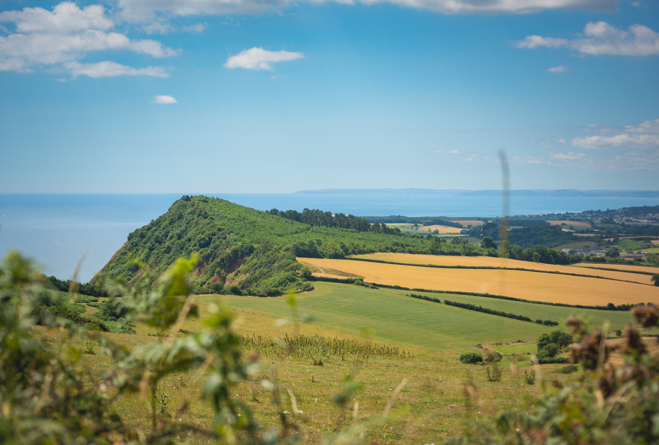 Dramatic Cliffs and Rolling Hills in the East Devon National Landscape Dramatic Cliffs and Rolling Hills in the East Devon National Landscape